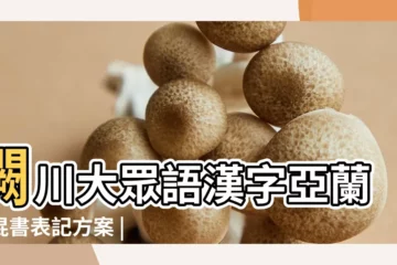 【表示意志堅定 代艹字母漢字】灍川大眾語漢字亞蘭字混書表記方案 |坤道成女 |乾道成男 |