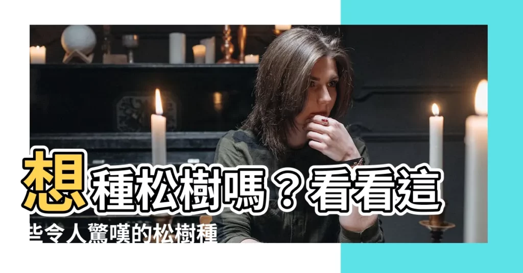 【種松】想種松樹嗎?看看這些令人驚嘆的松樹種子!