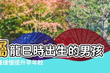 【屬龍人生於巳時命運男】屬龍巳時出生的男孩命運緩慢提升早年較差 |巳時出生的屬龍人命運 |巳時出生的屬龍人命運如何 |