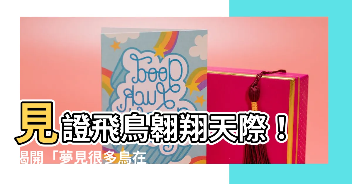 【夢見很多鳥在飛】見證飛鳥翱翔天際！揭開「夢見很多鳥在飛」的神秘預兆！