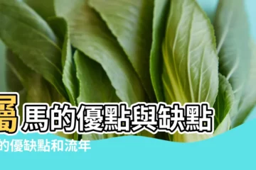 【十二生肖馬的優點】屬馬的優點與缺點 |馬的優缺點和流年運勢 |生肖馬的人優勢是什麼 |