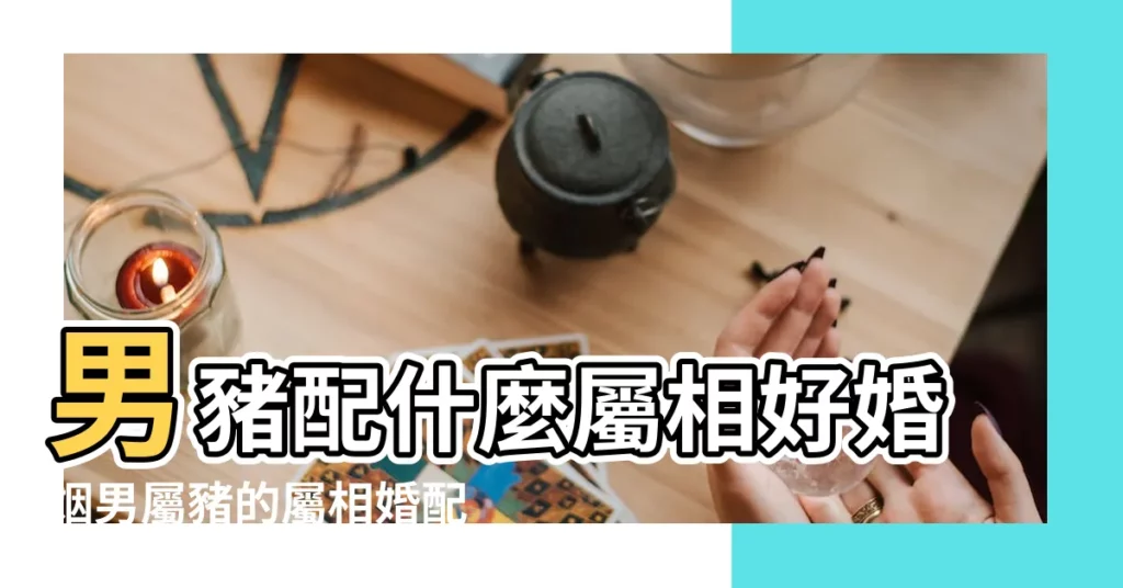 男豬配什麼屬相好婚姻男屬豬的屬相婚配表 |屬豬和什麼屬相婚配好生肖豬的屬相婚配表 |屬豬的屬相婚配表大全 |【屬豬的屬相婚配表】