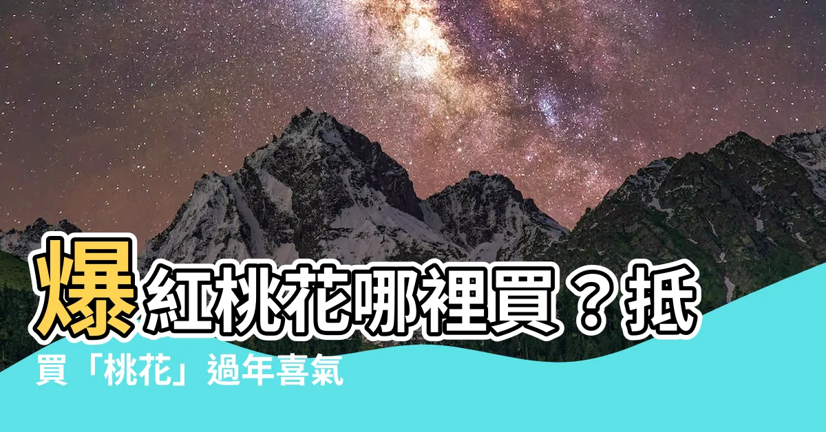 【桃花哪裡買】爆紅桃花哪裡買？抵買「桃花」過年喜氣洋洋！
