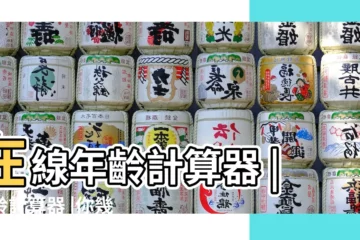 【1998年生2019年多少週歲】在線年齡計算器 |年齡計算器 |你幾歲了 |