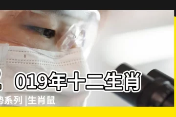 【流年運程2019鼠】2019年十二生肖運勢系列 |生肖鼠2019年度運勢 |屬鼠2019年運勢及運程屬鼠人2019年全年運勢 |