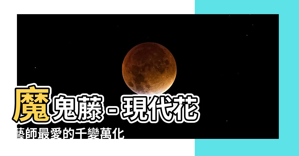 【魔鬼藤】魔鬼藤 - 現代花藝師最愛的千變萬化之花材