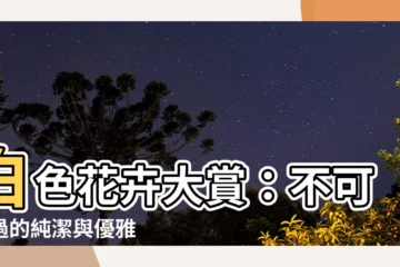 【白花有哪些】白色花卉大賞：不可錯過的純潔與優雅