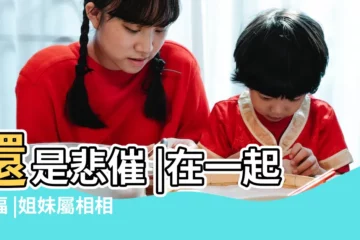 【什麼生肖與雞年相沖】還是悲催 |在一起幸福 |姐妹屬相相衝該怎麼 |