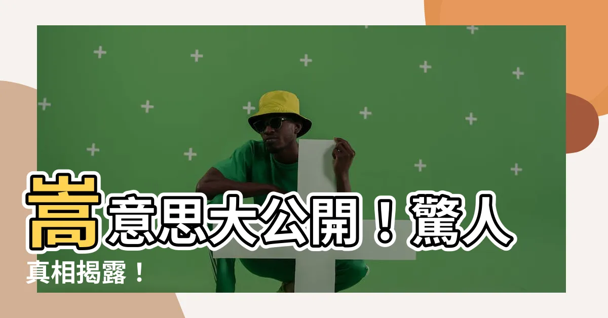 【嵩意思】嵩意思大公開！驚人真相揭露！