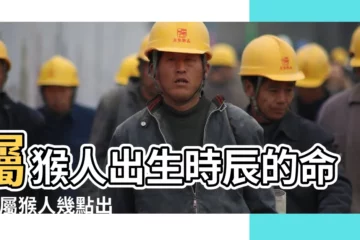 【屬猴子時出生命運】屬猴人出生時辰的命運 |屬猴人幾點出生的最好 |屬猴的人最適合出生的時辰 |