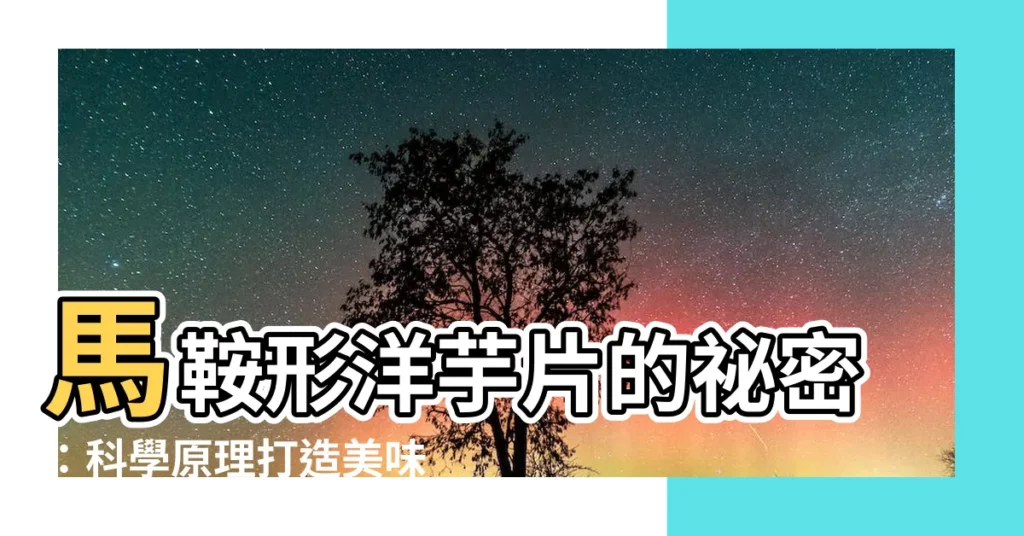 【馬鞍形】馬鞍形洋芋片的秘密:科學原理打造美味零食