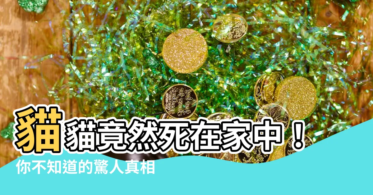 【貓死在家裡怎麼辦】貓貓竟然死在家中！你不知道的驚人真相，這裡告訴你怎麼處理！