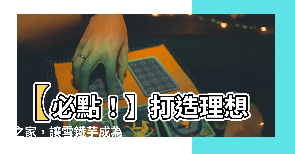 【雪鐵芋】【必點！】打造理想之家，讓雪鐵芋成為您家中的亮點！