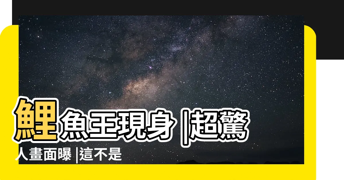 【鯉魚照片】鯉魚王現身 |超驚人畫面曝 |這不是寶可夢 |