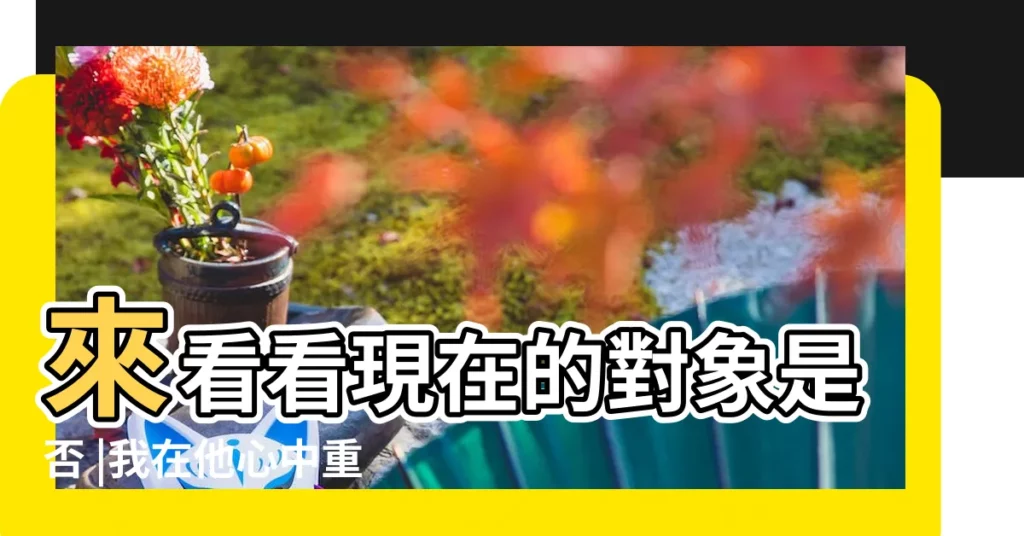 來看看現在的對象是否 |我在他心中重要嗎 |塔羅測試你是他認定的人生伴侶嗎 |【塔羅測試 他認定我了嗎】