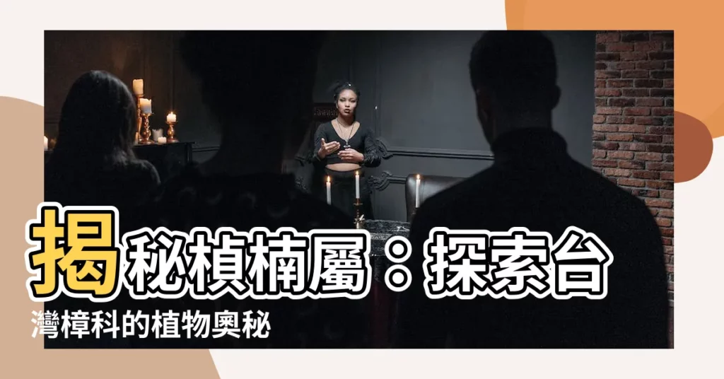 【楨楠屬】揭秘楨楠屬：探索台灣樟科的植物奧秘