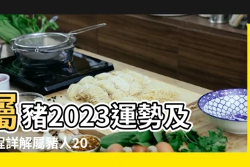 【豬人三月運程怎樣】屬豬2023運勢及運程詳解屬豬人2023年全年運勢每月運程 |屬豬的人2023年每月運勢 |1995年屬豬人2023年運勢及運程95年28歲生肖 |