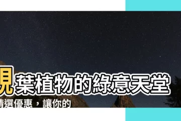 【觀葉】觀葉植物的綠意天堂：精選優惠，讓你的空間煥然一新