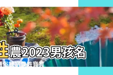 【姓農男孩兩字取名字大全】姓農2023男孩名字通俗雙字農姓寶寶取名雙字 |姓農男孩兩個字名字大全農姓2個字男寶寶起名 |農以字取名男孩名字大全姓農的男孩名字帶以字的名字 |