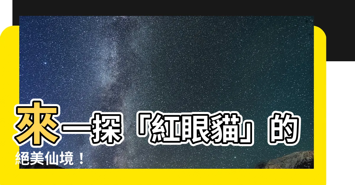 【紅眼貓蘭花】來一探「紅眼貓」的絕美仙境！