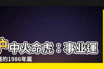 【爐中火命虎】爐中火命虎：事業運旺盛的1986年屬虎人解析