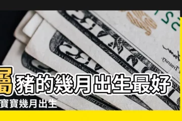 【豬年六月份生好嗎】屬豬的幾月出生最好 |豬寶寶幾月出生最好6月豬寶寶怎麼樣 |農曆6月出生屬豬人命好嗎 |