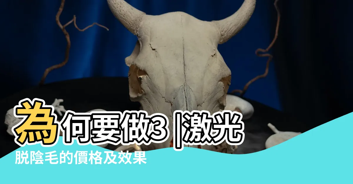 【激光脱陰毛】為何要做3 |激光脱陰毛的價格及效果 |利用激光脱毛方式去掉陰毛 |