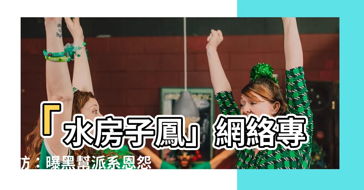 【水房子鳳】「水房子鳳」網絡專訪：曝黑幫派系恩怨與三合會內幕