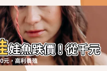 【娃娃魚價格】娃娃魚跌價！從千元到20元，高利養殖輝煌不再