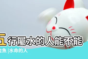 【水命人適合養金魚嗎】五行屬水的人能不能養金魚 |水命的人適合養魚嗎 |命理五行水多的人適合養金魚嗎 |