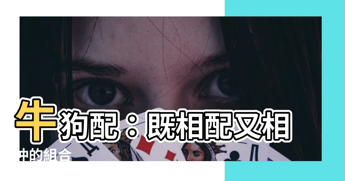 【牛狗配】牛狗配：既相配又相沖的組合