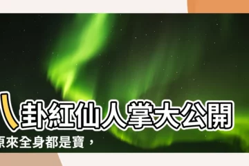 【八卦紅仙人掌用途】八卦紅仙人掌大公開！原來全身都是寶，用途讓你意想不到！