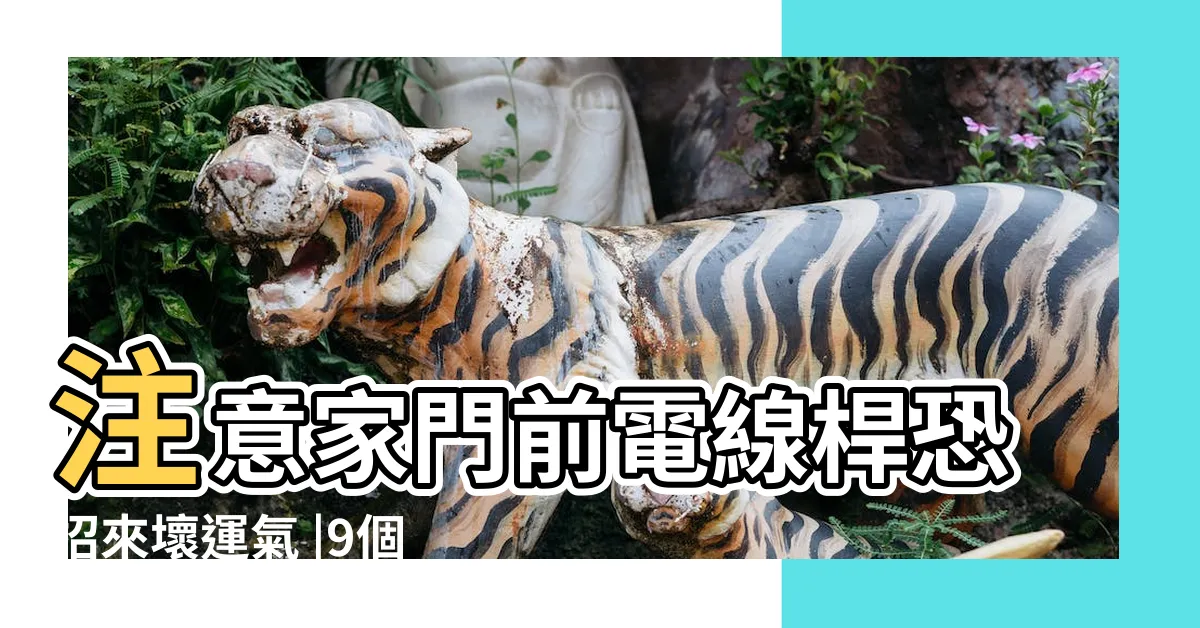 【房子外有電線桿】注意家門前電線桿恐招來壞運氣 |9個常見煞氣與化解方法 |高架橋都不好 |