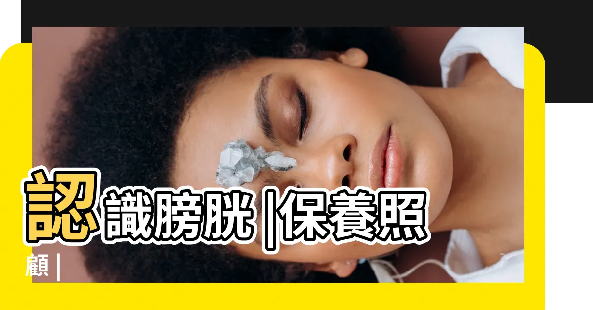 【膀胱在那裡】認識膀胱 |保養照顧 |