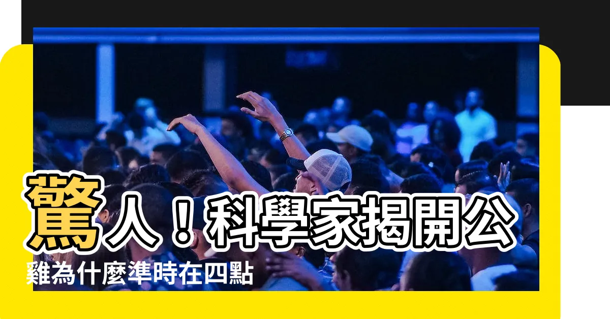 【雞為什麼會叫】驚人！科學家揭開公雞為什麼準時在四點多打鳴的秘密！