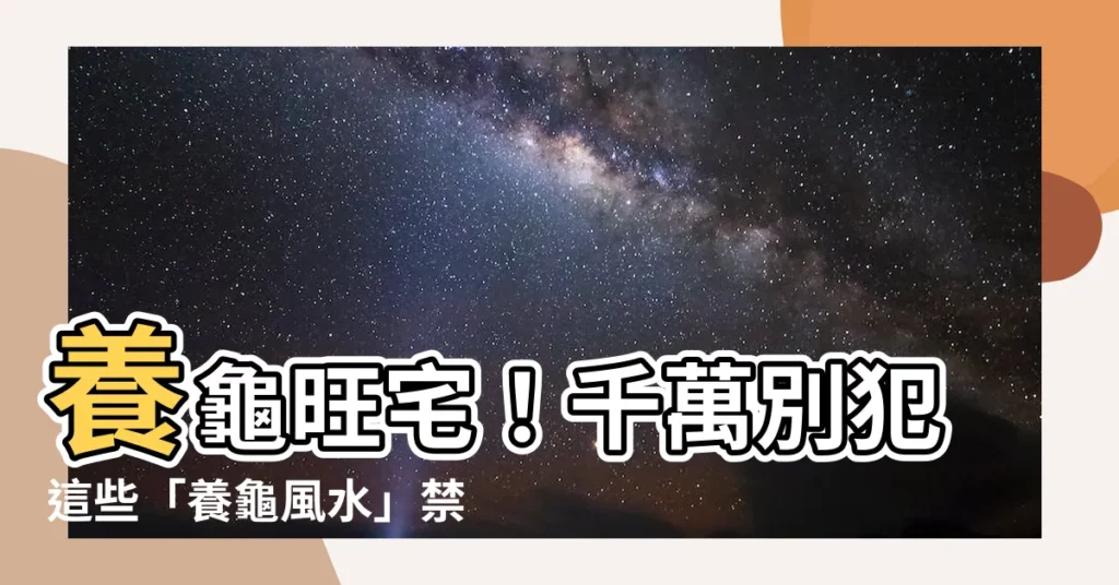 【養龜 風水】養龜旺宅！千萬別犯這些「養龜風水」禁忌！