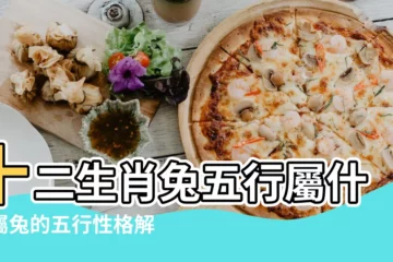 【五行中兔代表什麼意思】十二生肖兔五行屬什麼屬兔的五行性格解析 |批八字中的 |紅黃綠白 |