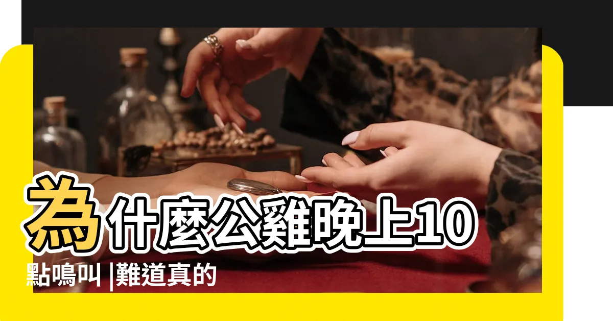 【雞晚上叫】為什麼公雞晚上10點鳴叫 |難道真的是災難的預警 |風水學中 |