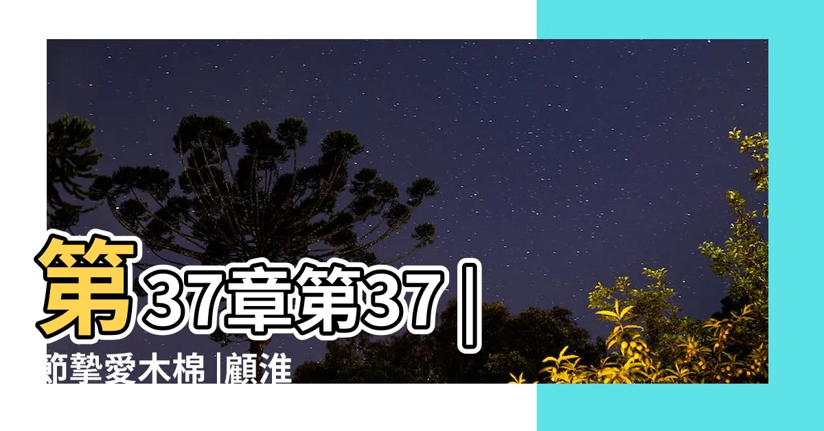 【顧淮南孟姚】第37章第37 |節摯愛木棉 |顧淮南孟姚小説列表 |