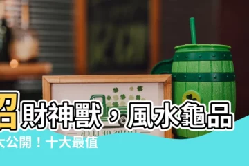 【風水龜品種】招財神獸，風水龜品種大公開！十大最值得養的鎮宅吉祥龜