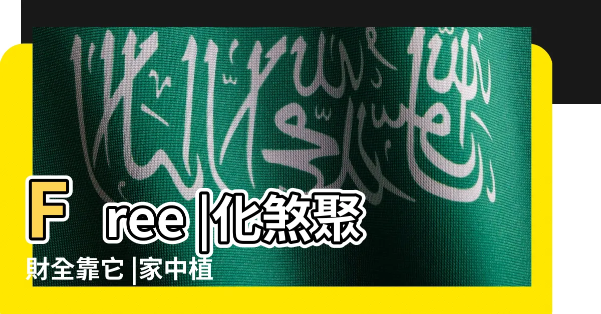 【九重葛化煞】Free |化煞聚財全靠它 |家中植物這樣擺就對了 |