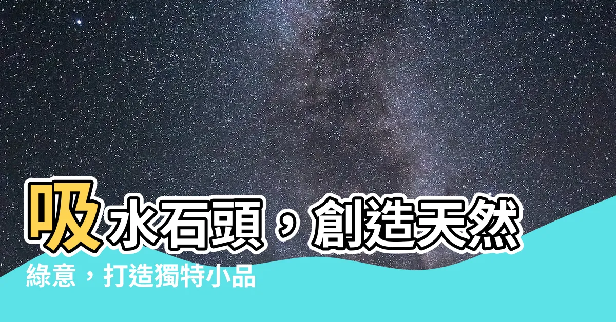 【吸水石頭】吸水石頭，創造天然綠意，打造獨特小品盆栽！