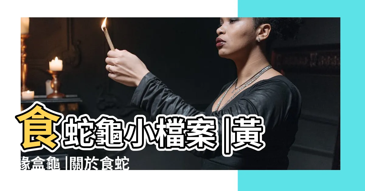 【蛇龜】食蛇龜小檔案 |黃緣盒龜 |關於食蛇龜 |
