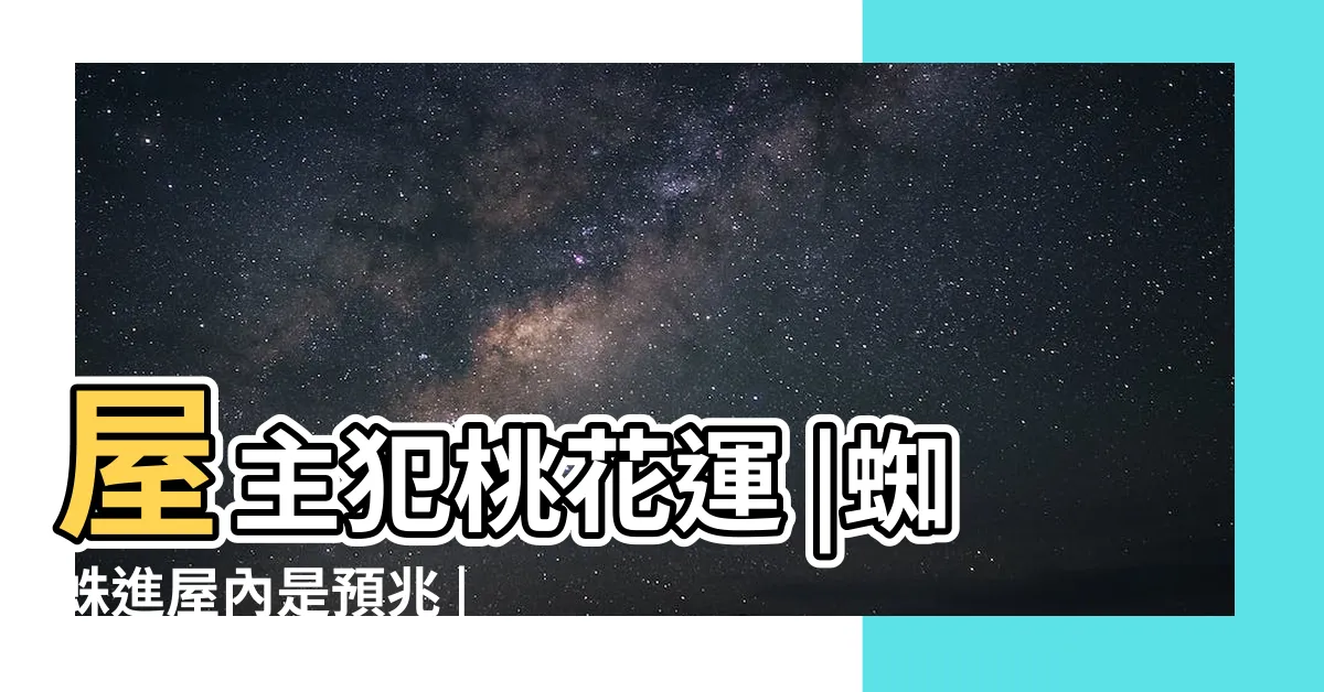 【蜘蛛在家結網】屋主犯桃花運 |蜘蛛進屋內是預兆 |蜘蛛在家窗外結網居住的徵兆家中出現蜘蛛 |