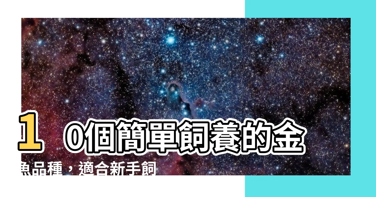 【好養的金魚】10個簡單飼養的金魚品種，適合新手飼主的最佳選擇