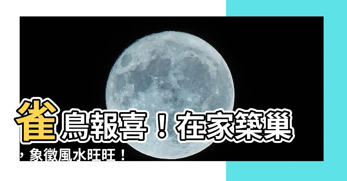 【雀鳥在家築巢】雀鳥報喜！在家築巢，象徵風水旺旺！