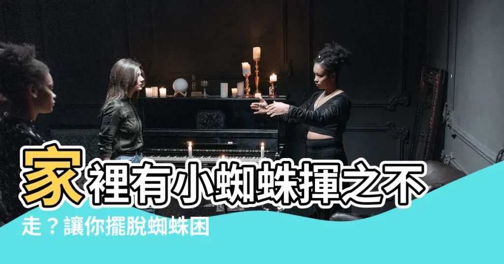 【家裏有小蜘蛛】家裡有小蜘蛛揮之不走？讓你擺脱蜘蛛困擾的三大絕招