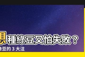 【種綠豆的注意事項】想種綠豆又怕失敗？種綠豆的 3 大注意事項，讓您收穫滿滿