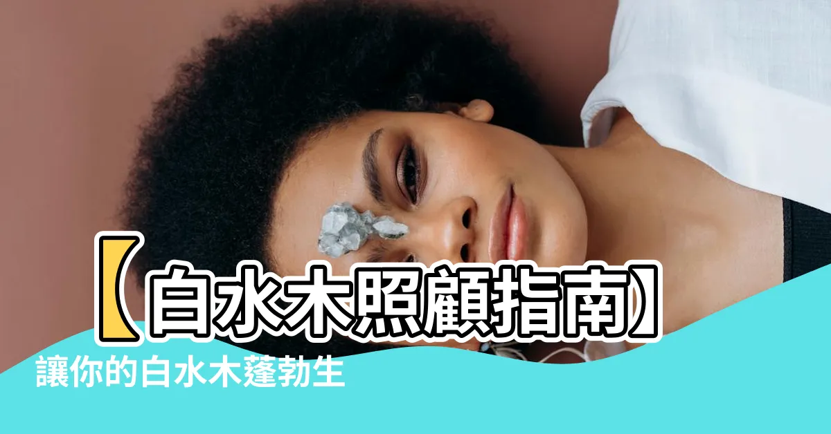 【白水木 照顧】【白水木照顧指南】讓你的白水木蓬勃生長的秘訣！
