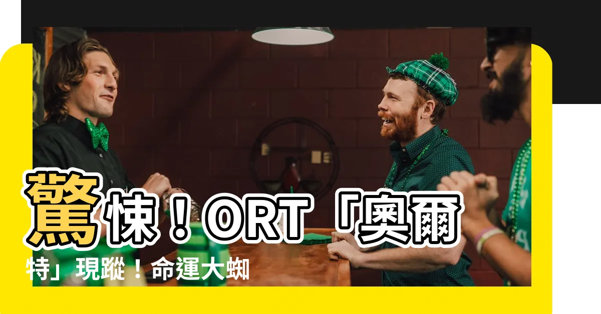 【fate大蜘蛛】驚悚！ORT「奧爾特」現蹤！命運大蜘蛛暗中吞噬